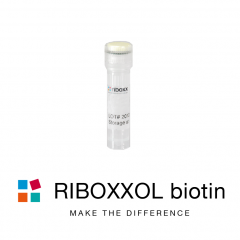 RIBOXXOL biotin