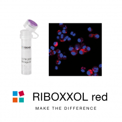 RIBOXXOL red555
