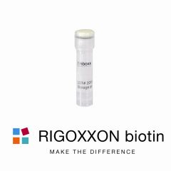 RIGOXXON biotin